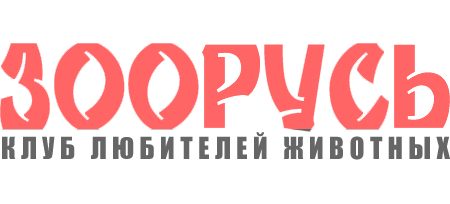 Зоорусь